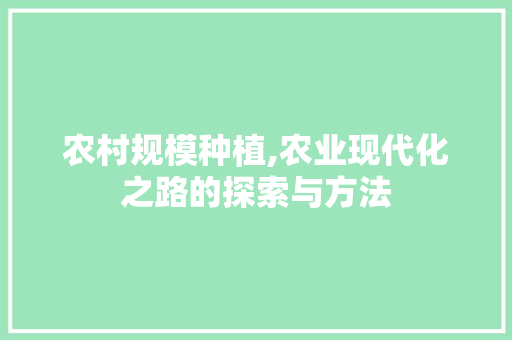 农村规模种植,农业现代化之路的探索与方法