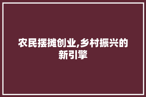 农民摆摊创业,乡村振兴的新引擎