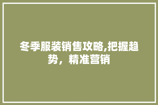 冬季服装销售攻略,把握趋势，精准营销 项目报告