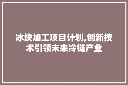 冰块加工项目计划,创新技术引领未来冷链产业