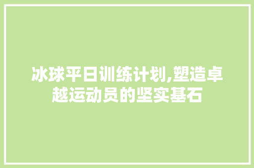 冰球平日训练计划,塑造卓越运动员的坚实基石