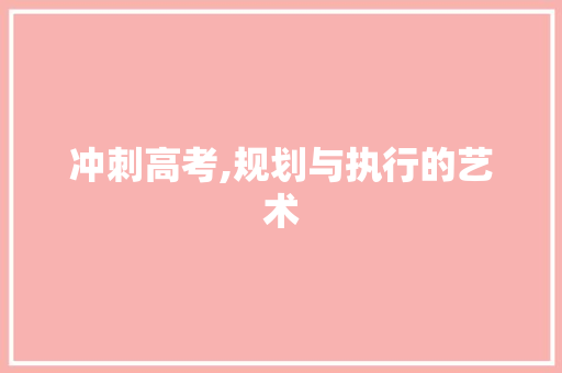 冲刺高考,规划与执行的艺术