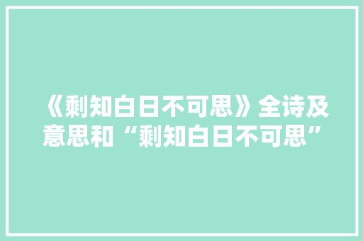 《剩知白日不可思》全诗及意思和“剩知白日不可思”的拼音注释