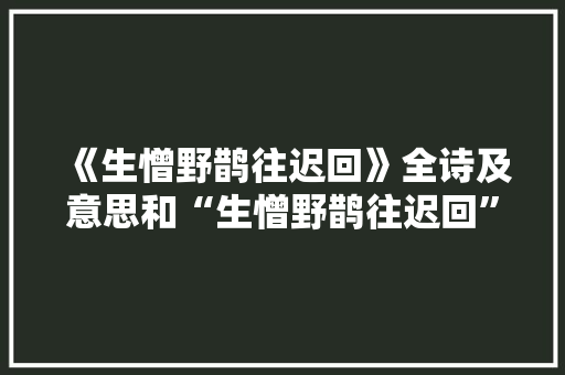 《生憎野鹊往迟回》全诗及意思和“生憎野鹊往迟回”的拼音注释 诗词鉴赏