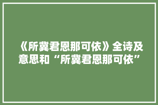 《所冀君恩那可依》全诗及意思和“所冀君恩那可依”的拼音注释