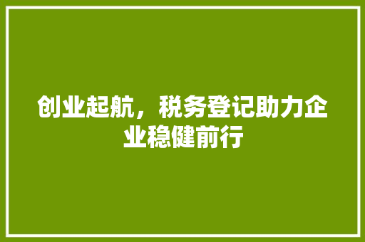 创业起航，税务登记助力企业稳健前行