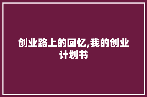 创业路上的回忆,我的创业计划书