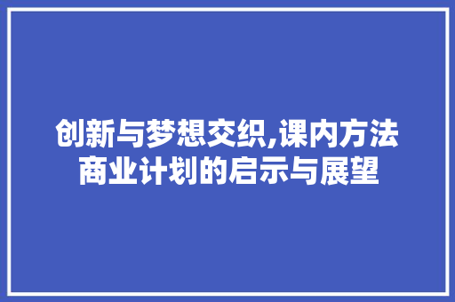 创新与梦想交织,课内方法商业计划的启示与展望