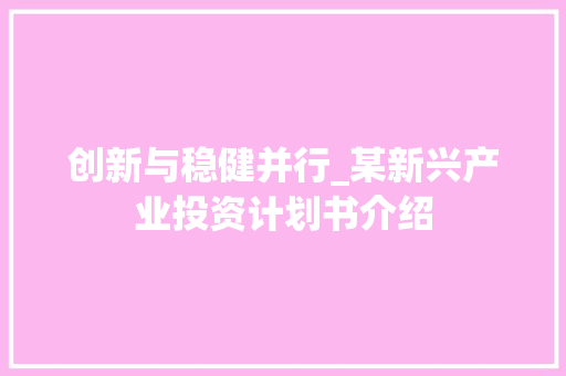 创新与稳健并行_某新兴产业投资计划书介绍