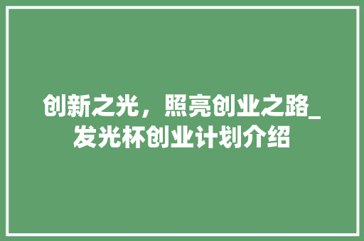 创新之光，照亮创业之路_发光杯创业计划介绍