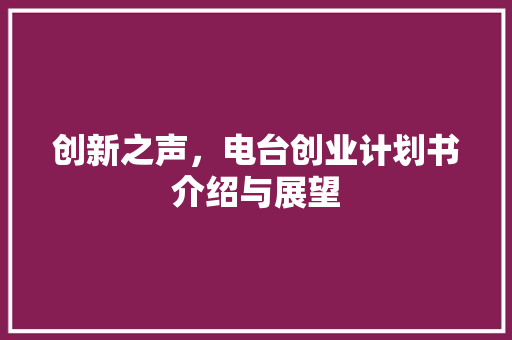 创新之声，电台创业计划书介绍与展望