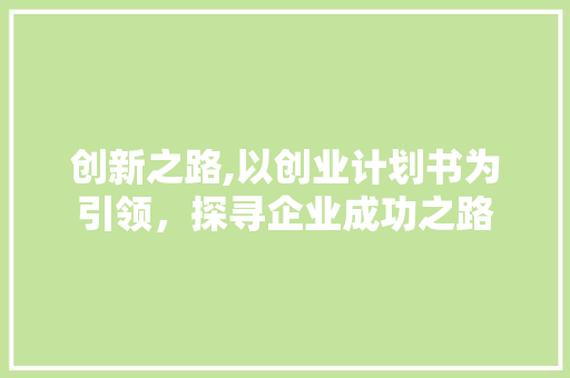 创新之路,以创业计划书为引领，探寻企业成功之路