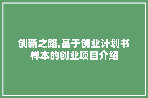 创新之路,基于创业计划书样本的创业项目介绍