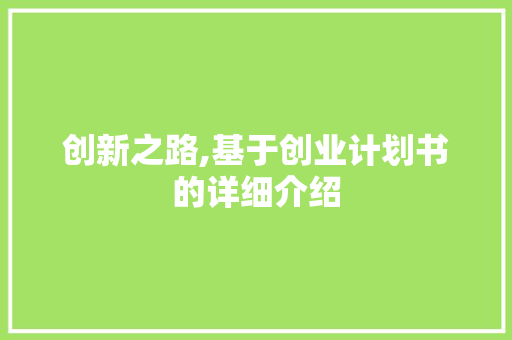 创新之路,基于创业计划书的详细介绍