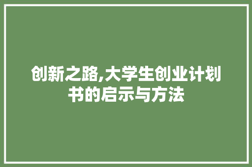 创新之路,大学生创业计划书的启示与方法