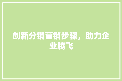 创新分销营销步骤，助力企业腾飞