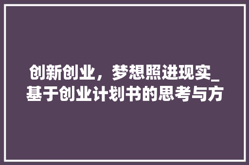 创新创业，梦想照进现实_基于创业计划书的思考与方法