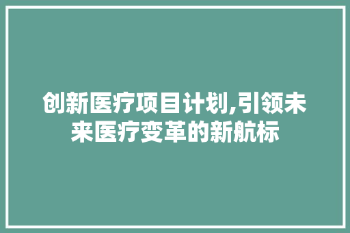 创新医疗项目计划,引领未来医疗变革的新航标