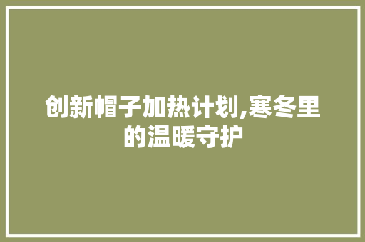 创新帽子加热计划,寒冬里的温暖守护