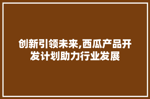 创新引领未来,西瓜产品开发计划助力行业发展