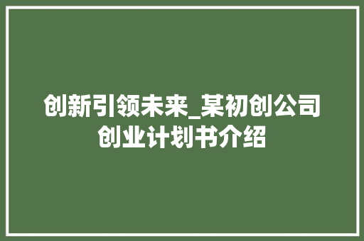创新引领未来_某初创公司创业计划书介绍