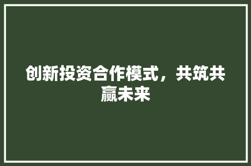 创新投资合作模式，共筑共赢未来