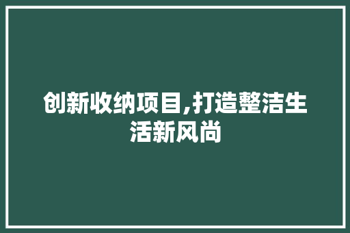 创新收纳项目,打造整洁生活新风尚