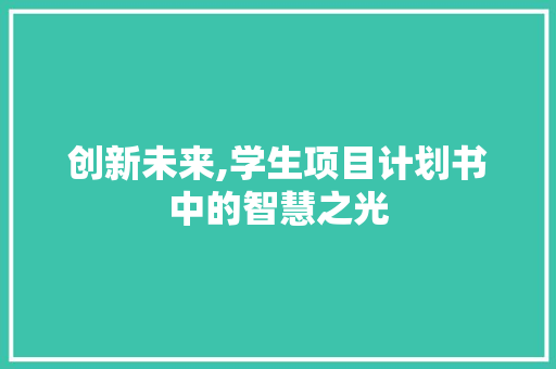 创新未来,学生项目计划书中的智慧之光