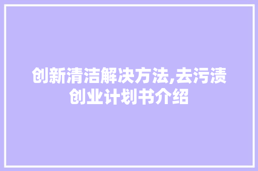 创新清洁解决方法,去污渍创业计划书介绍