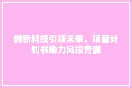 创新科技引领未来，项目计划书助力风投青睐