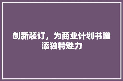 创新装订，为商业计划书增添独特魅力