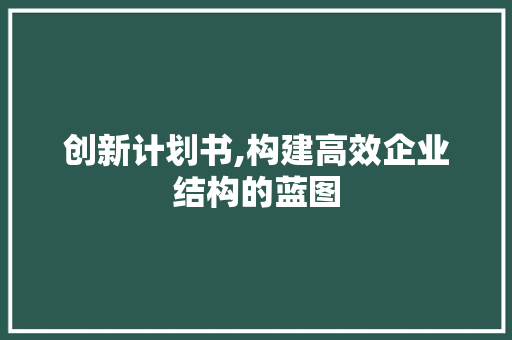 创新计划书,构建高效企业结构的蓝图