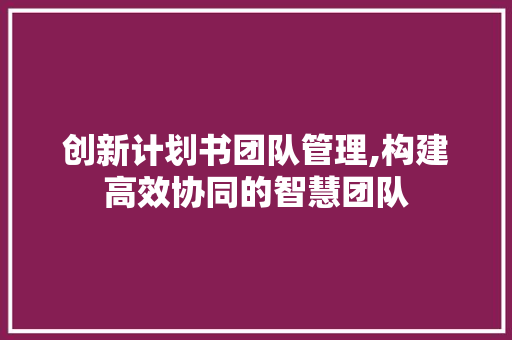 创新计划书团队管理,构建高效协同的智慧团队
