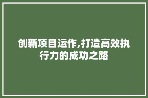 创新项目运作,打造高效执行力的成功之路