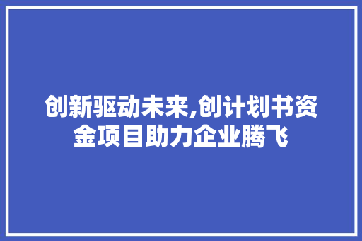 创新驱动未来,创计划书资金项目助力企业腾飞