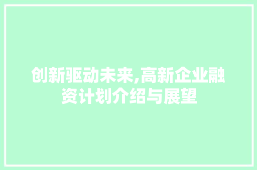 创新驱动未来,高新企业融资计划介绍与展望