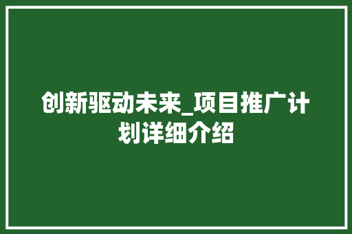 创新驱动未来_项目推广计划详细介绍
