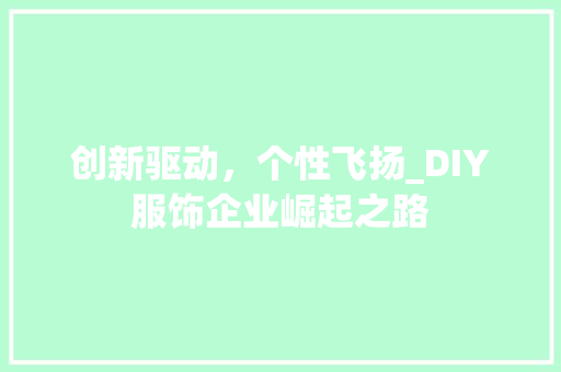 创新驱动，个性飞扬_DIY服饰企业崛起之路