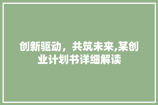 创新驱动，共筑未来,某创业计划书详细解读