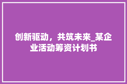 创新驱动，共筑未来_某企业活动筹资计划书