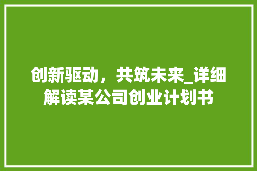 创新驱动，共筑未来_详细解读某公司创业计划书