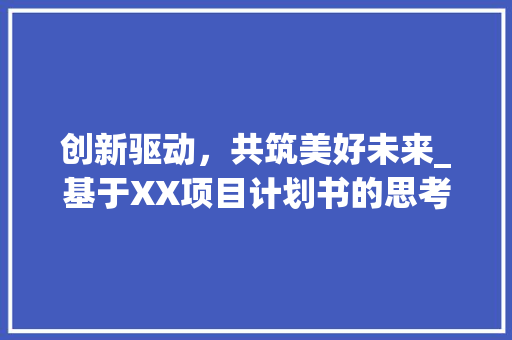 创新驱动，共筑美好未来_基于XX项目计划书的思考