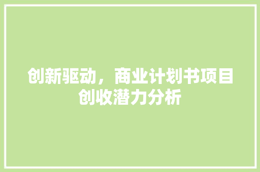 创新驱动，商业计划书项目创收潜力分析 项目报告
