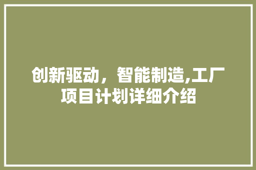 创新驱动，智能制造,工厂项目计划详细介绍