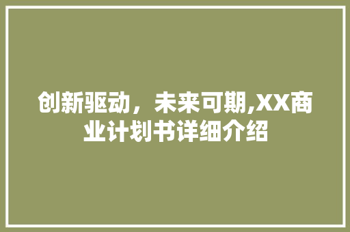 创新驱动，未来可期,XX商业计划书详细介绍