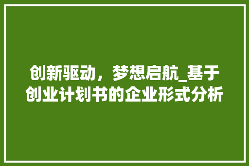 创新驱动，梦想启航_基于创业计划书的企业形式分析
