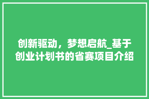 创新驱动，梦想启航_基于创业计划书的省赛项目介绍