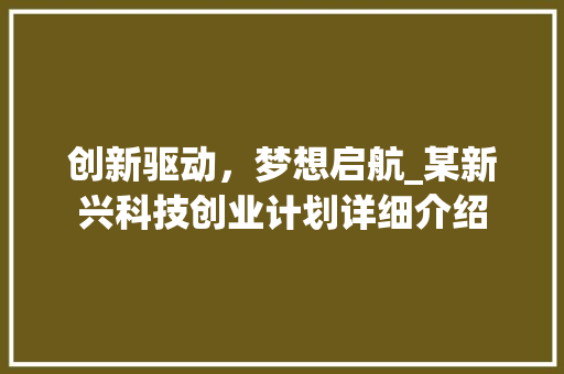 创新驱动，梦想启航_某新兴科技创业计划详细介绍