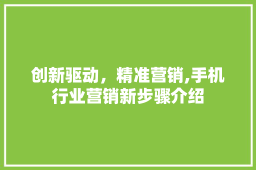 创新驱动，精准营销,手机行业营销新步骤介绍