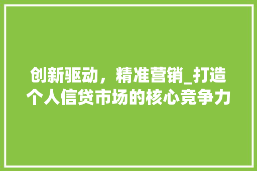 创新驱动，精准营销_打造个人信贷市场的核心竞争力 社交媒体